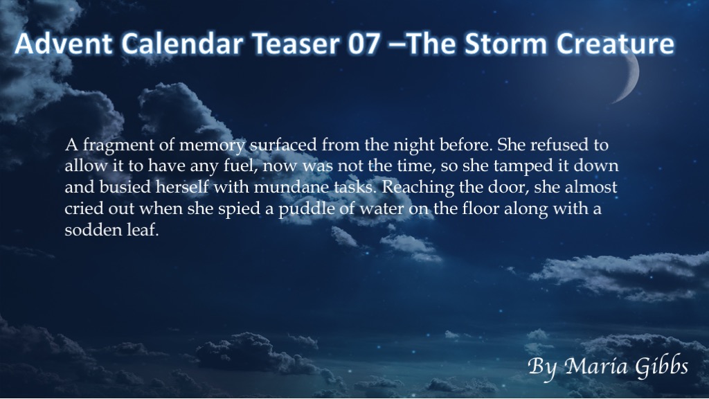 24 days of Xmas.7.jpg