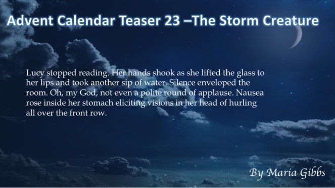 24 days of Xmas23.jpg