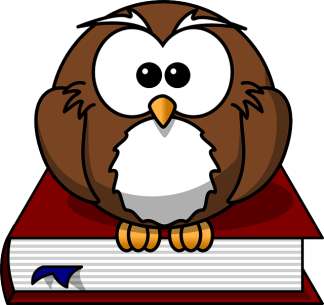 owl-47526_640